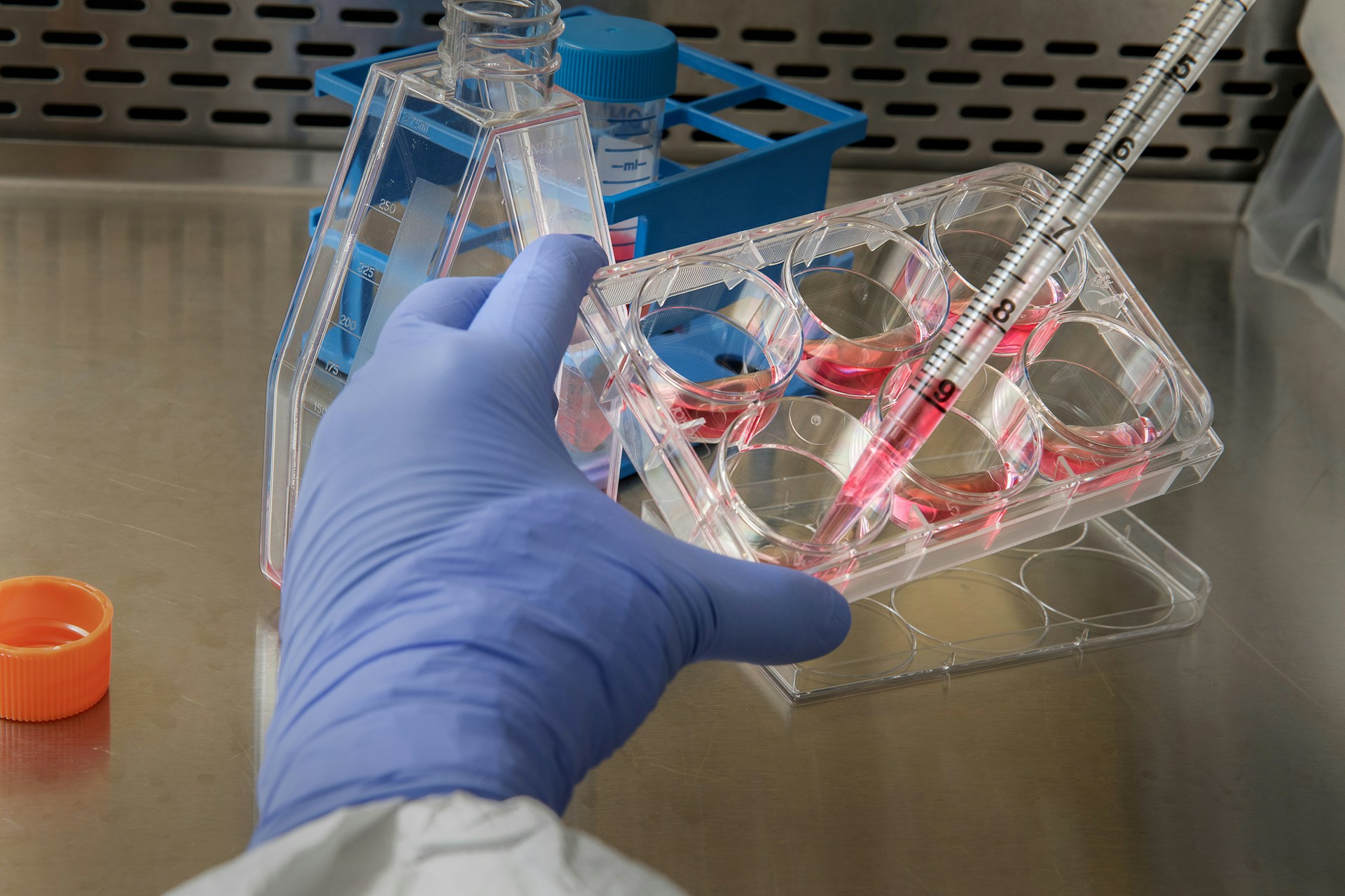 Innovation in Cancer Research