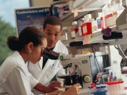 Yousuf A. Gaffar, M.D-Oncology Research
