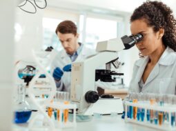 Clinical Research Studies